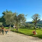 Antica Colombaia * Ostra