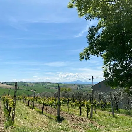 Antica Colombaia